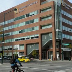 Higher Education