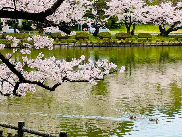 HD_Takamatsu Park Japan