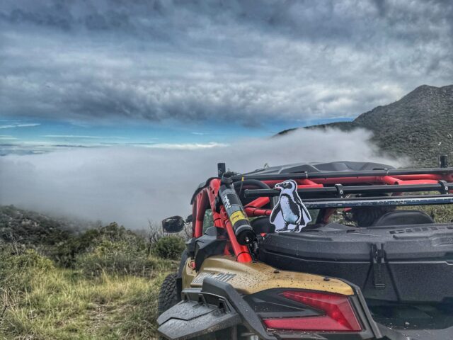 Penguin on Top of Four Peaks #1 10-12-25